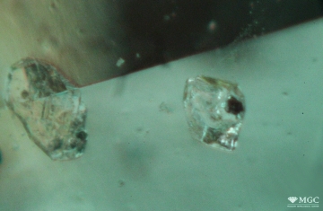 Включение кальцита в природном изумруде (Центральный Африканский регион). Режим просмотра - тёмнопольное освещение.