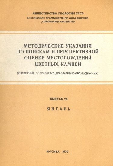 Методические указания Янтарь